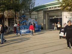 -喜茶(迪士尼小镇DP店)