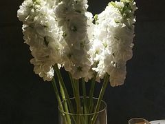 -一坐一忘云南菜(三里屯店)