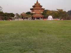 -顺峰山公园