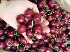 -百果园PAGODA(爱华市场店)