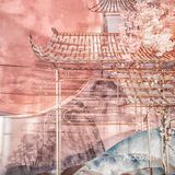 这里荒芜寸草不生,后来你来这儿走了一遭,奇迹般万物生长,这里