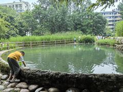 -成都市活水公园