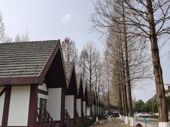 -太阳岛度假酒店