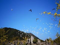 -千岛湖石林