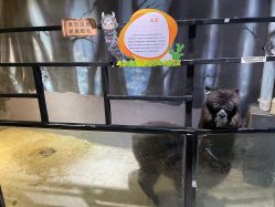 -酷嗒动物文化乐园(cutezoo西溪乐天城店)