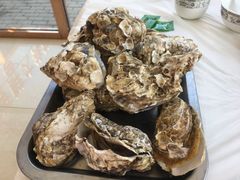 -渔民船说·北塘海鲜·天津菜·海肠捞饭(北塘古镇店)