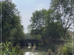 -西溪国家湿地公园