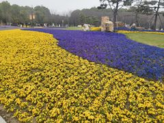 -狼山风景名胜区