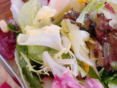 -IL Forno 意坊·意大利餐厅(花园店)