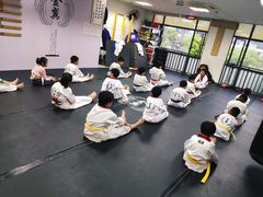 -金翼跆拳道巴西柔术拳击格斗学院