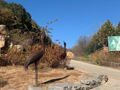 -北京西山国家森林公园