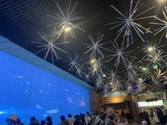 -华夏文旅海洋公园