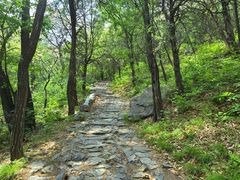 -阳台山自然风景区