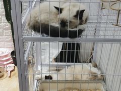 -iF摄影•全家福•证件照•形象照(南山店)