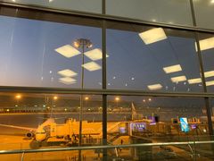 -郑州新郑国际机场-T2航站楼