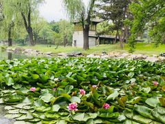 -承德避暑山庄景区