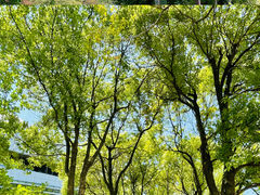 -绍兴镜湖国家城市湿地公园