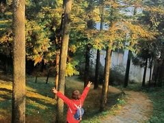 -四明山国家森林公园