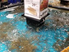 -盒马鲜生(皇庭广场店)