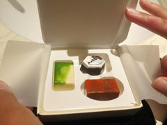 -西贡日航酒店