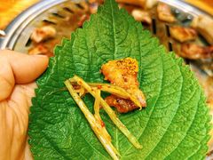 -炽城·烤肉名家(鸿达中央广场店)