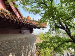 -云龙山