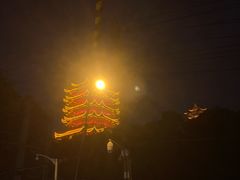 -龟山风景区-龟山电视塔