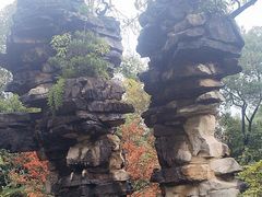 -南山植物园