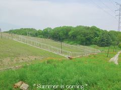-佛手湖郊野公园