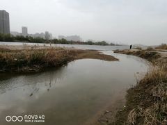 -咸阳湖景区