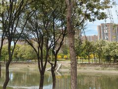 -东坝千亩湖公园