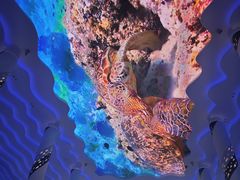 -三亚西岛海洋文化旅游区