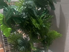 -卡朋西餐(铂顿城店)