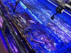 -渔民船说·北塘海鲜·天津菜·海肠捞饭(北塘古镇店)