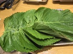 -云龙·烤肉专门店(东方路店)