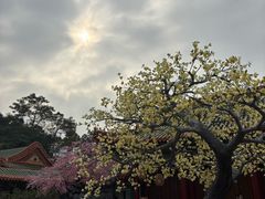 -珠海圆明新园