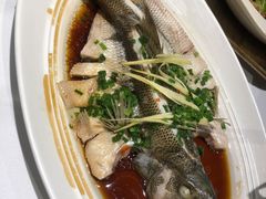 清蒸鲈鱼-眉州东坡(华联万柳店)