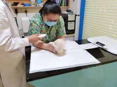 -派特宠物医院(圆融广场店)