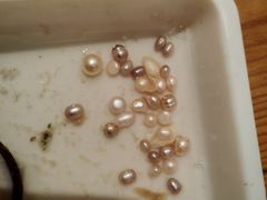 -十八字金·银饰·开蚌DIY·手工体验团建(魏公芳华里店)