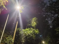 -火炉山森林公园