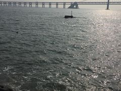 -星海湾跨海大桥