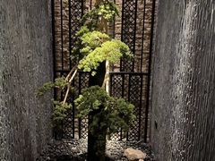 -大桶大足浴(广灵店)