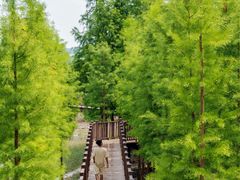 -张家港凤凰山景区河阳山歌馆