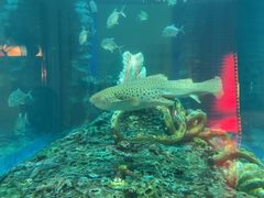 -石林冰雪海洋世界