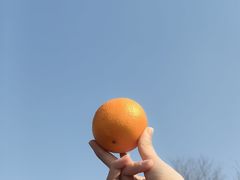 -麦当劳(溧阳万达店)