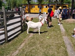 -前小桔亲子创意农场·草莓采摘·露营烧烤