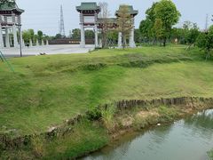 -王借岗森林公园