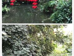 -华南国家植物园-售票处