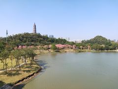 -顺峰山公园