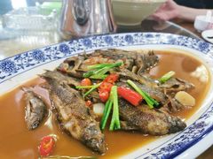 -芦茨金富饭庄·25年老字号·专做稻草鸡